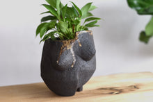 Load image into Gallery viewer, Figurative Planter