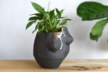 Load image into Gallery viewer, Figurative Planter