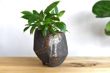 Load image into Gallery viewer, Figurative Planter